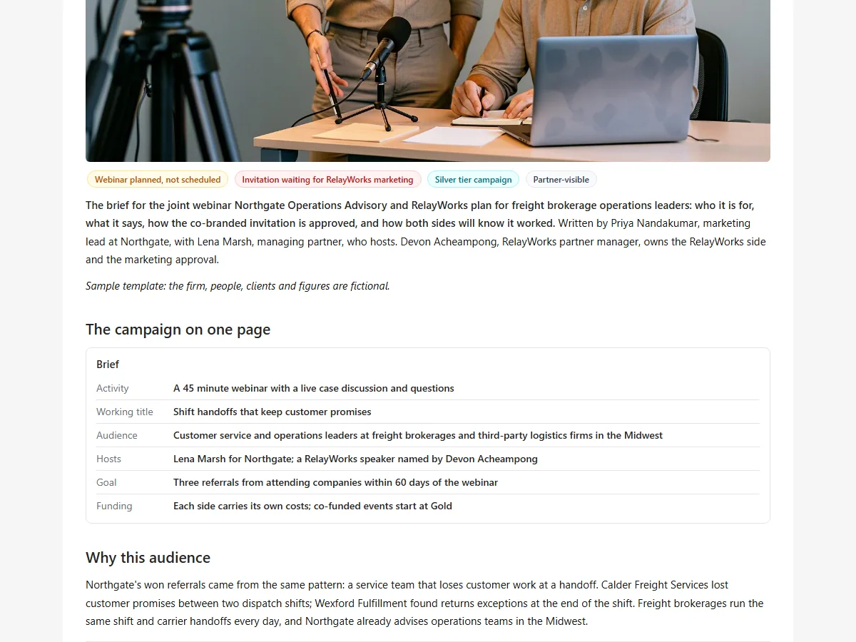 Native T150 Co-marketing campaign brief page showing the first substantive section