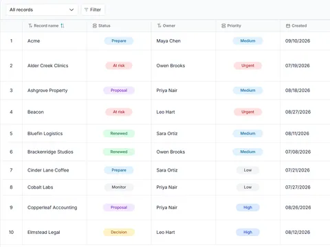 Customer renewal and expansion board: populated all-records table with status, owner and priority fields