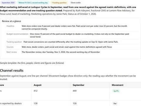 Screenshot of the Fractional CMO monthly review document page