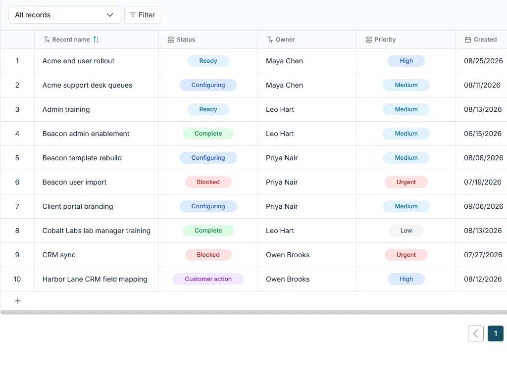 SaaS customer implementation tracker: populated all-records table with status, owner and priority fields