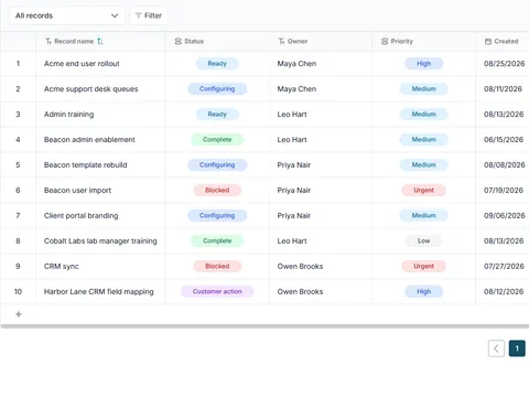 SaaS customer implementation tracker: populated all-records table with status, owner and priority fields